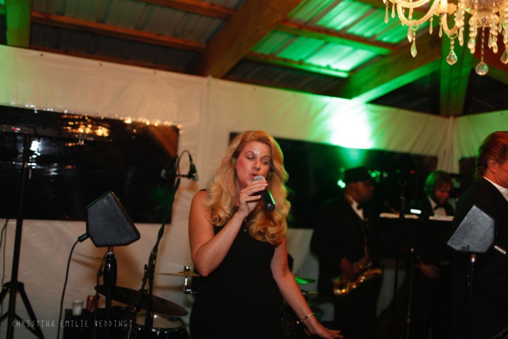 Rustic Acres Farm Pittsburgh John Parker Band Wedding Reception