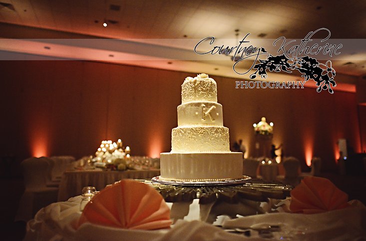 Blair County Convention Center Pittsburgh Wedding Venue Cake