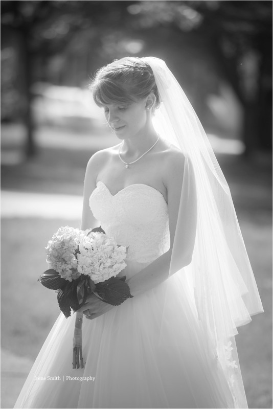The Commons Franklin Pennsylvania Wedding Bride's Veil 